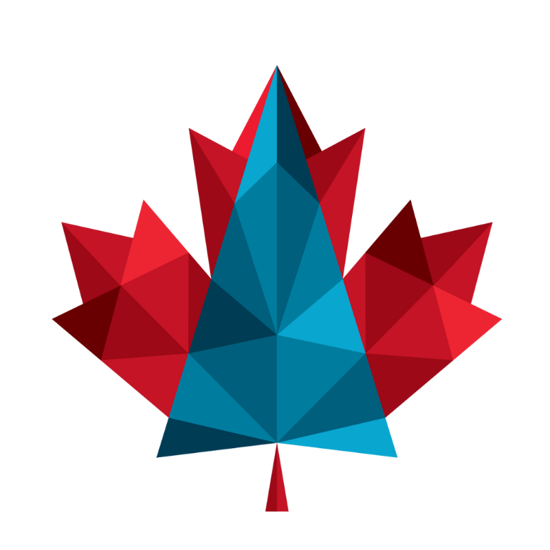 Logo for North Compass Immigration Consulting